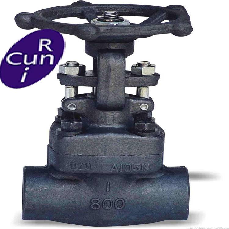 Api 602 Welded Flange Connection Forged Steel Gate Valves